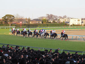 20101226_265shuusei.jpg