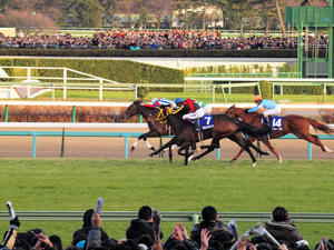 20101226_314shuusei.jpg