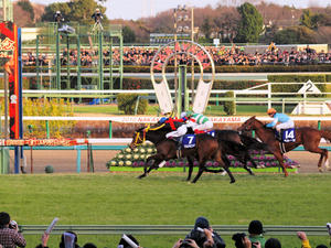 20101226_316shuusei.jpg