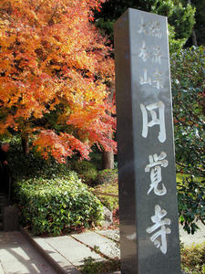 20101226_392shuusei.jpg