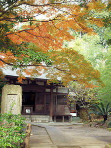 20101226_401shuusei.jpg