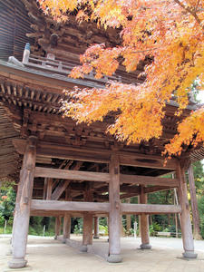 20101226_416shuusei.jpg