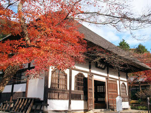 20101226_422shuusei.jpg