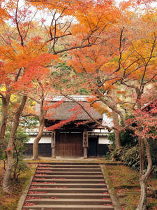 20101226_426shuusei.jpg