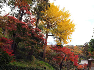 20101226_428shuusei.jpg