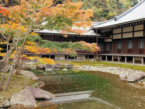 20101226_438shuusei.jpg
