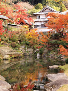 20101226_439shuusei.jpg