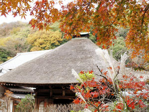 20101226_452shuusei.jpg