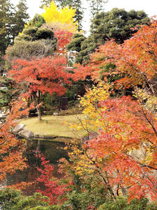 20101226_460shuusei.jpg
