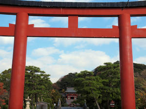 20101226_493shuusei.jpg