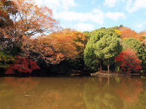 20101226_497shuusei.jpg
