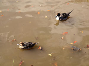 20101226_500shuusei.jpg
