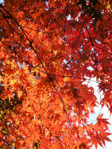 20101226_502shuusei.jpg