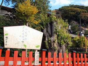 20101226_508shuusei.jpg