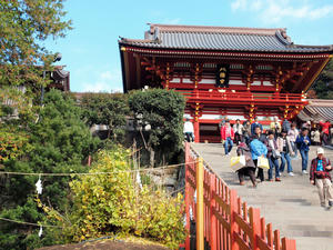 20101226_509shuusei.jpg