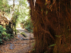 20101226_535shuusei.jpg