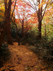 20101226_560shuusei.jpg