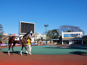 20101229_3shuusei.jpg