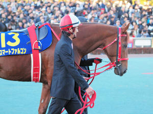 20101229_166shuusei.jpg