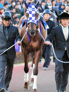 20101229_205shuusei.jpg