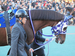 20101229_162shuusei.jpg