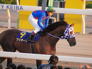 20101229_232shuusei.jpg