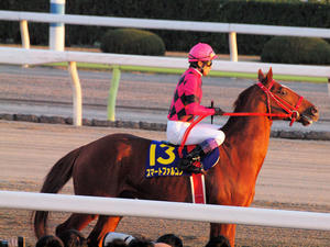 20101229_241shuusei.jpg