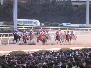 20101229_291shuusei.jpg