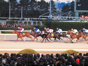 20101229_300shuusei.jpg