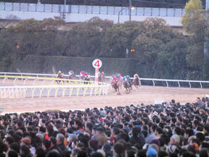 20101229_316shuusei.jpg