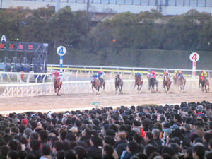 20101229_320shuusei.jpg