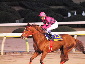 20101229_392shuusei.jpg
