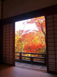 20101130_302shuusei.jpg