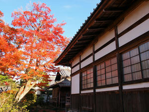 20101130_318shuusei.jpg