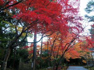 20101130_348shuusei.jpg