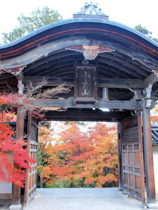 20101130_356shuusei.jpg