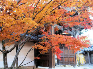 20101130_379shuusei.jpg