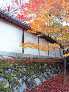20101130_389shuusei.jpg