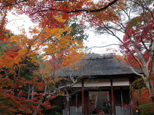 20101130_451shuusei.jpg