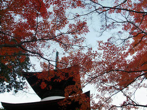 20101130_477shuusei.jpg