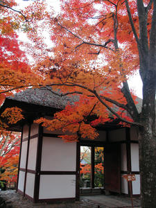 20101130_513shuusei.jpg