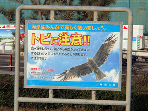 20101226_656shuusei.jpg