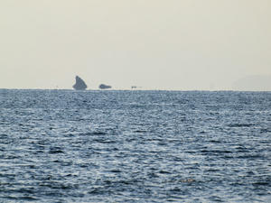 20101226_664shuusei.jpg