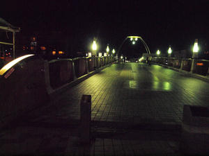 20101226_718shuusei.jpg