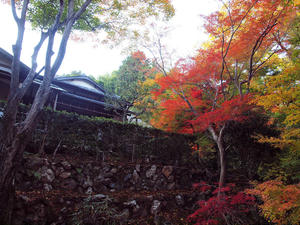 20101130_434shuusei.jpg