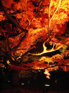 20101130_584shuusei.jpg