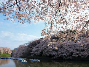 20100404_280shuusei.jpg