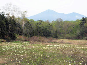 20100608_407shuusei.jpg