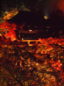 20101130_676shuusei.jpg