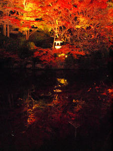 20101130_718shuusei.jpg